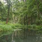 Отель Spree In Der Altstadt 4*