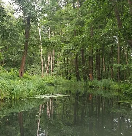 ホテル Spree In Der Altstadt 4*