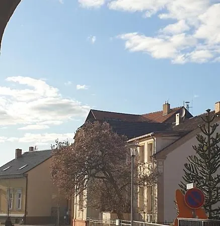 ホテル Spree In Der Altstadt 4*