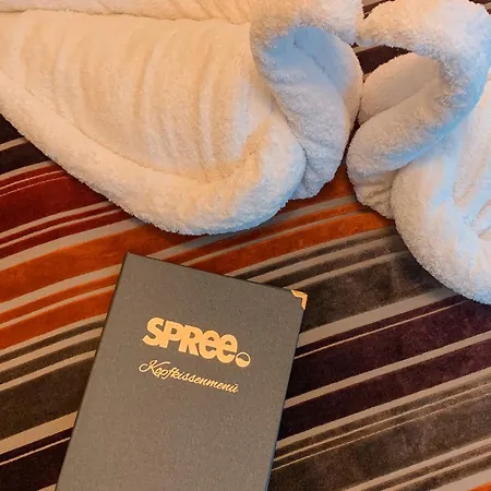 Spree In Der Altstadt Ξενοδοχείο 4*