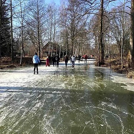 Spree In Der Altstadt לובנאו