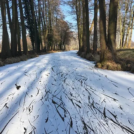 Spree In Der Altstadt ホテル 4*