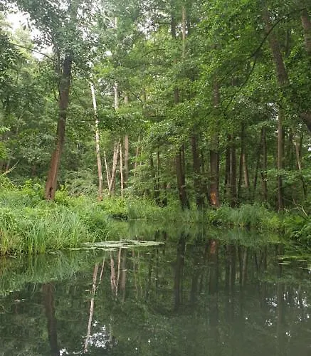 Hotel Spree In Der Altstadt 4*