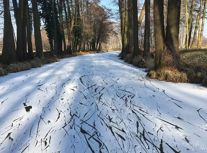 Spree In Der Altstadt Hotel 4*